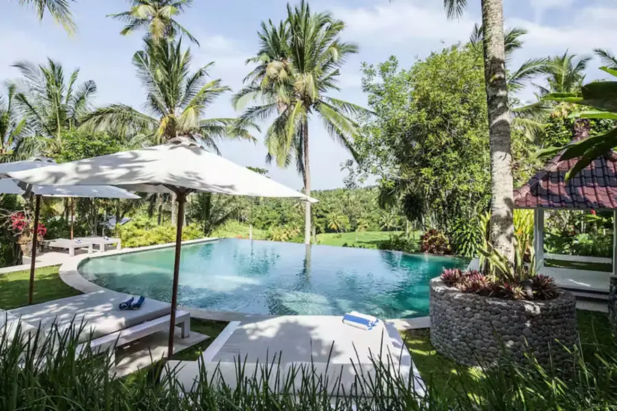 Infinity pool overlooking rice paddies at La Balian Villa Bali