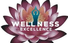 Wellness Excellence logo